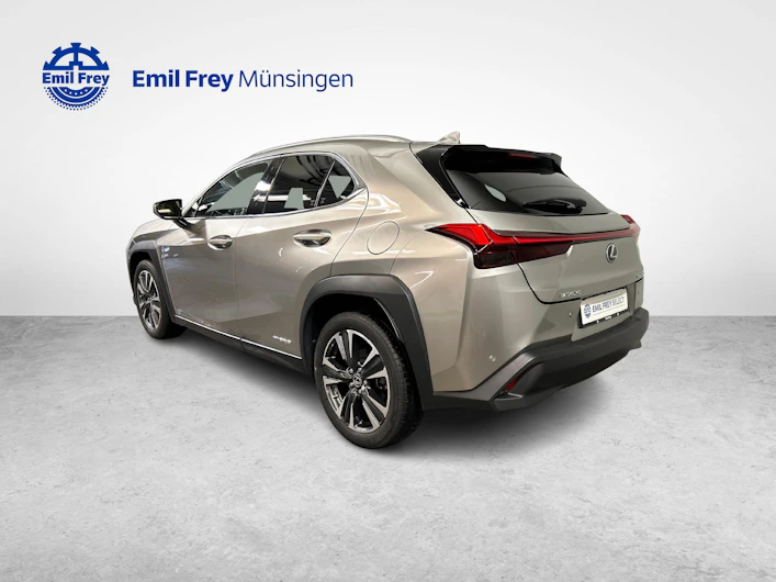 immagine del veicolo LEXUS UX
