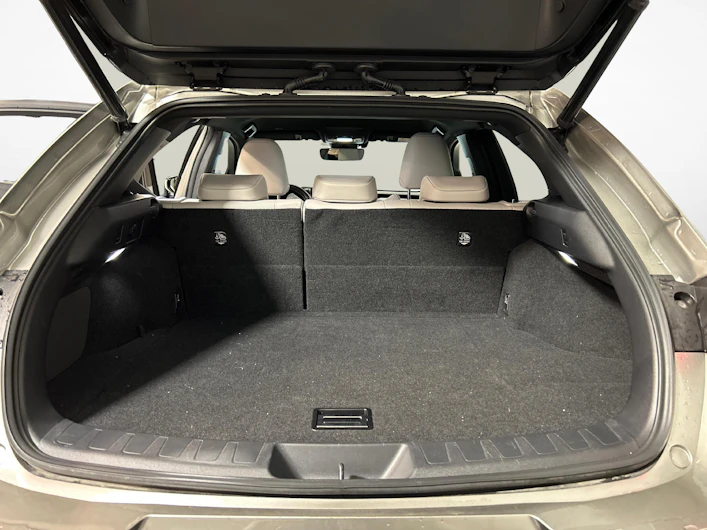 immagine del veicolo LEXUS UX