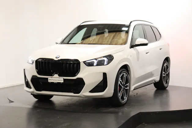 BMW X1 20d xDrive paddles