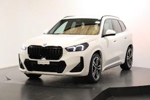 Fahrzeugbild BMW X1 20d xDrive paddles