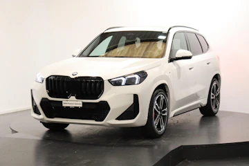 Fahrzeugbild BMW X1 20d xDrive paddles