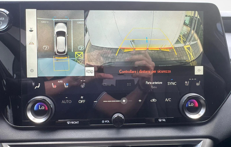 immagine del veicolo LEXUS RX
