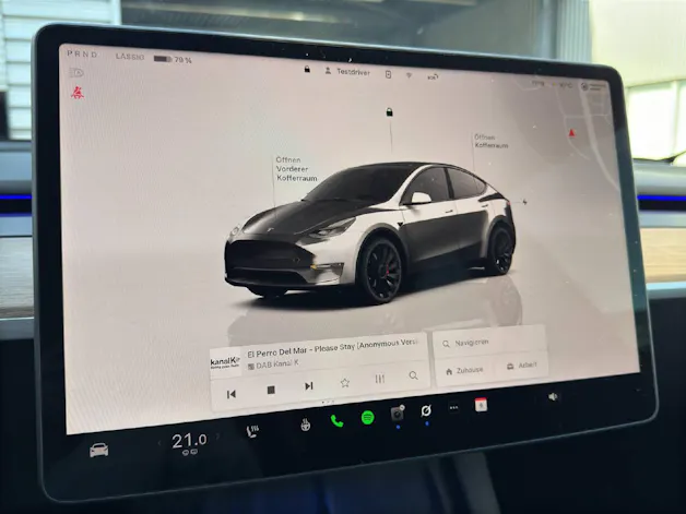 Tesla Model Y Performance Dual Motor