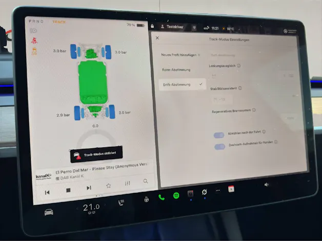 Tesla Model Y Performance Dual Motor