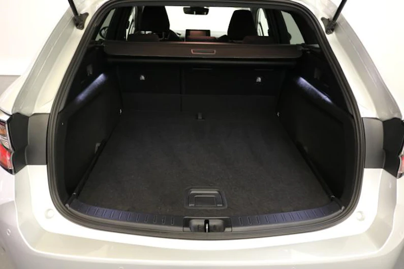 Fahrzeugbild SUZUKI SWACE