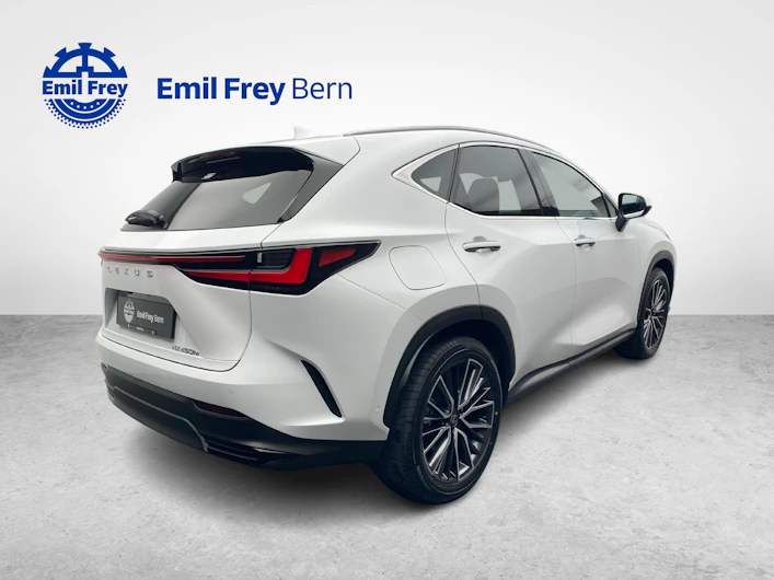 Fahrzeugbild LEXUS NX