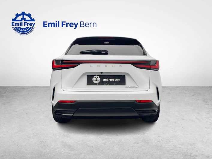 Fahrzeugbild LEXUS NX