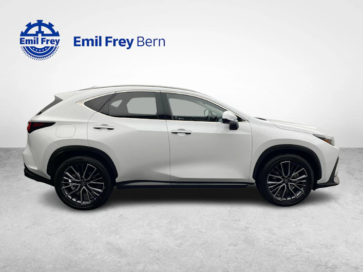 Fahrzeugbild LEXUS NX