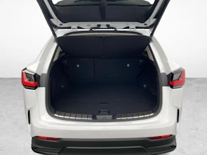 immagine del veicolo LEXUS NX 450h+ Excellence