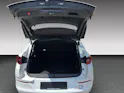 Opel Grandland 1.6 T PHEV GSE
