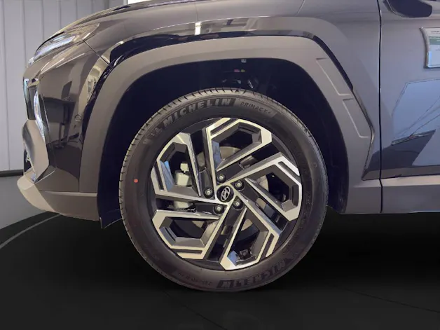 Hyundai Tucson 1.6 T-GDi HEV Vertex Swiss Edition 4WD