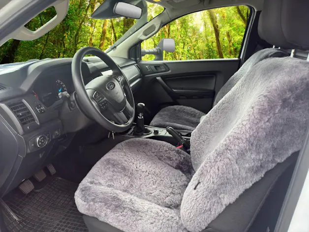 Ford Ranger Einzel-Kab. Pick-up 2.0 EcoBlue 4x4 XL
