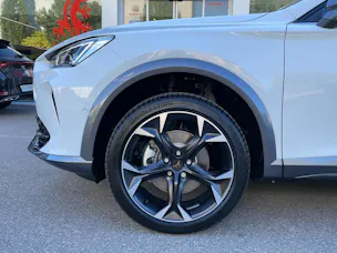 Cupra Formentor 2.0 TSI 4Drive DSG