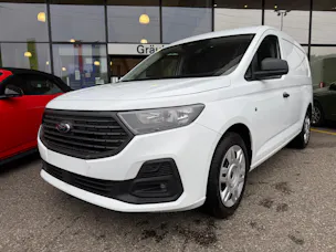 Ford Grand Transit Connect Kasten 2.0 EcoBlue Trend inkl. Kamera hinten