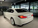 BMW 520d xDrive 48V Luxury Line Steptronic