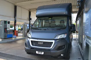 Peugeot Pferdetransport MSG Superlight Plus