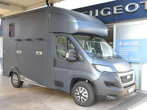 Peugeot Pferdetransport MSG Superlight Plus