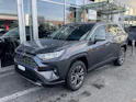 Toyota RAV-4 2.5 HSD Trend e-CVT 4WD