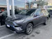 Toyota RAV-4 2.5 HSD Trend e-CVT 4WD