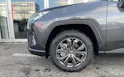 Toyota RAV-4 2.5 HSD Trend e-CVT 4WD