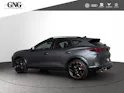Cupra Formentor 2.5TSI VZ5 Prime Edition 4Drive DSG