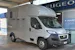 Peugeot Pferdetransport MSG Superlight Plus