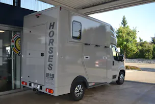 Peugeot Pferdetransport MSG Superlight Plus