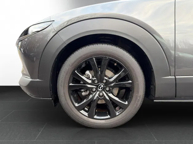 Mazda CX-30 SKYACTIV-X 186 M Hybrid Homura FWD AT