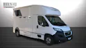 Peugeot Pferdetransport MSG Light