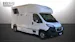 Peugeot Pferdetransport MSG Light