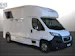 Peugeot Pferdetransport MSG Light