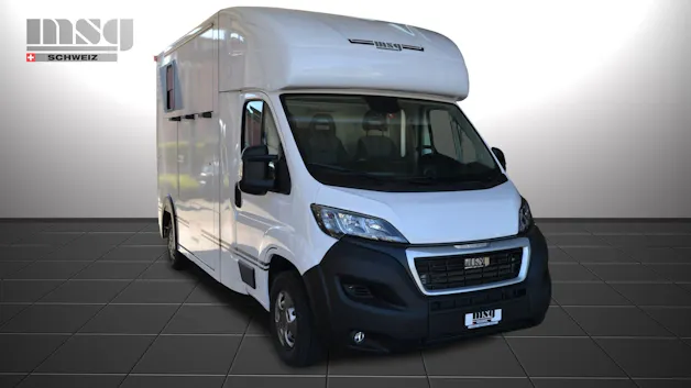 Peugeot Pferdetransport MSG Light