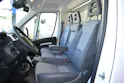 Peugeot Pferdetransport MSG Light