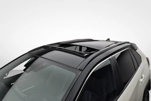 Fahrzeugbild TOYOTA RAV4 2.5 Plug-In-Hybrid Platinum