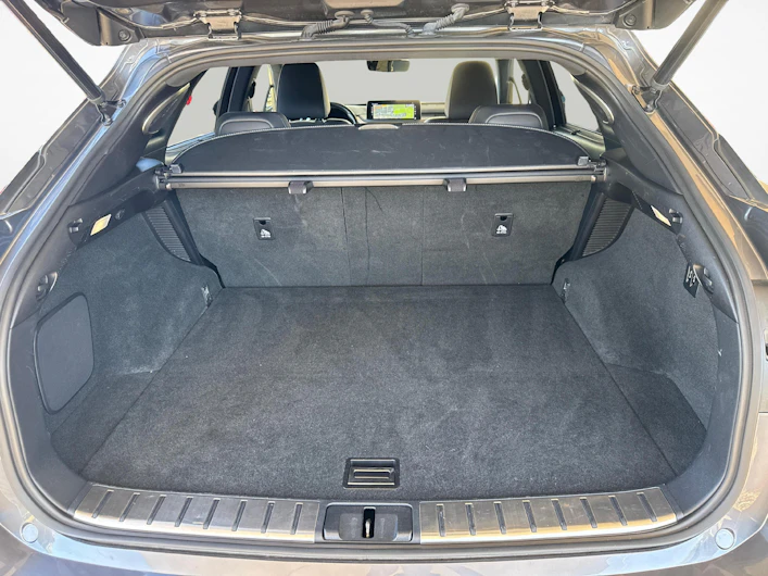 Fahrzeugbild LEXUS RX