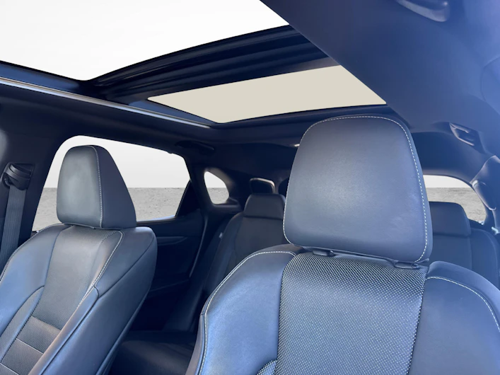 Fahrzeugbild LEXUS RX
