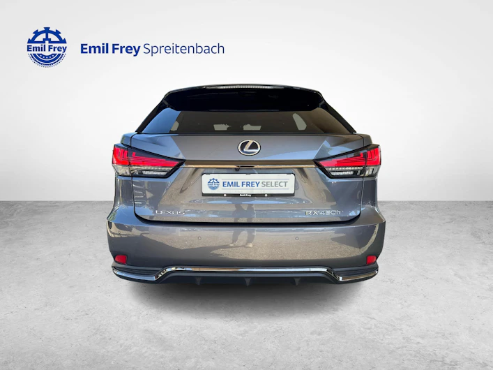 Fahrzeugbild LEXUS RX