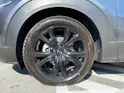 Mazda CX-30 SKYACTIV-X 186 M Hybrid Homura AWD AT