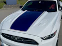 Ford Mustang Fastback 5.0 V8 GT