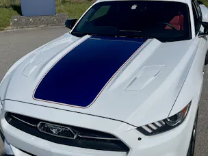Ford Mustang Fastback 5.0 V8 GT