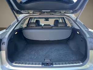 Lexus RX 450h Excellence