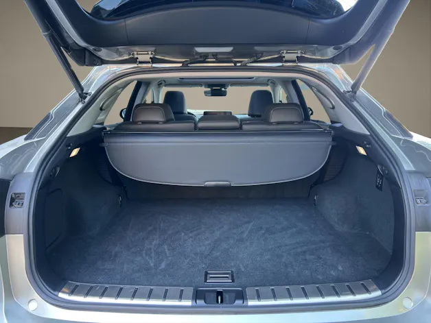 Lexus RX 450h Excellence