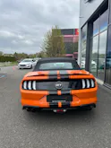 Ford Mustang Convertible 5.0 V8 GT