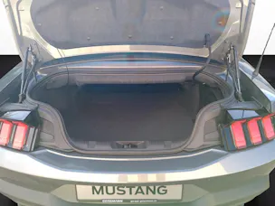 Ford Mustang Convertible 5.0 V8 GT
