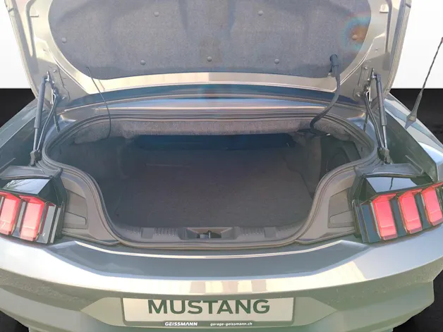 Ford Mustang Convertible 5.0 V8 GT