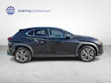 Lexus UX 250h F-Line / Jetzt mit attraktivem 1.99% Leasing