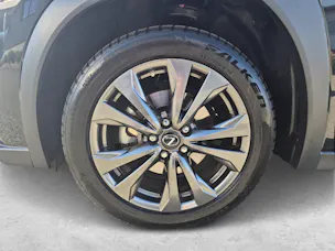 Lexus UX 250h F-Line / Jetzt mit attraktivem 1.99% Leasing