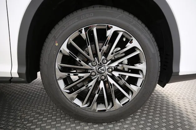 Lexus RX 300 Special Edition