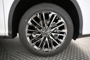 Fahrzeugbild LEXUS RX 300 Special Edition
