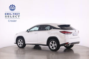 immagine del veicolo LEXUS RX 300 Special Edition